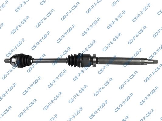 GSP-218206
