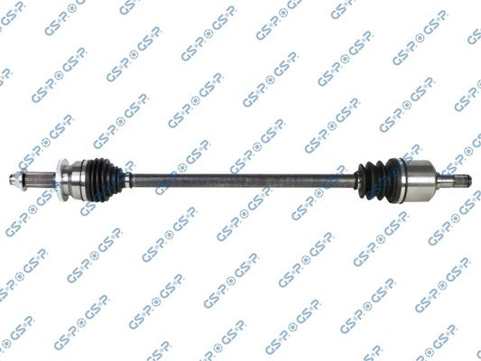 GSP-224555