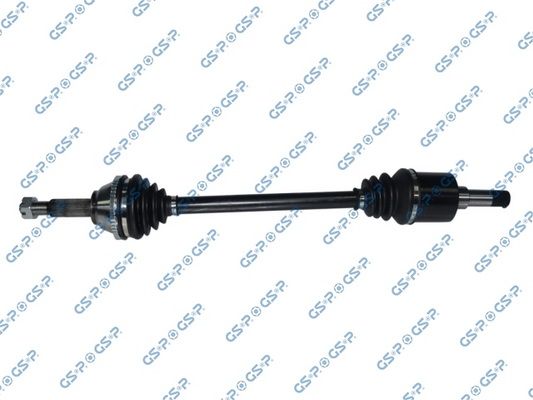 GSP-218209