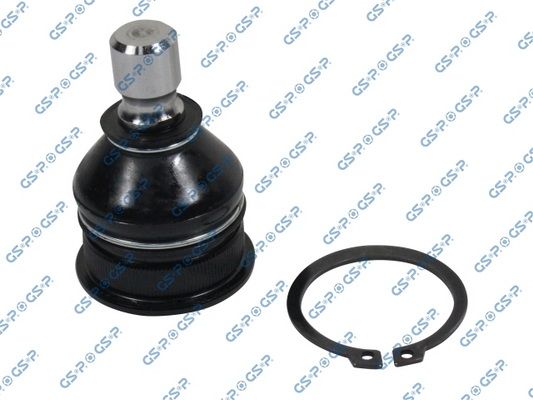 GSP-S080095