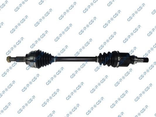 GSP-250460