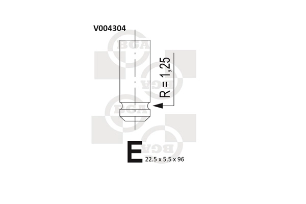 V004304