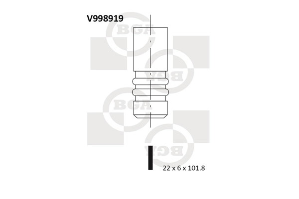 V998919