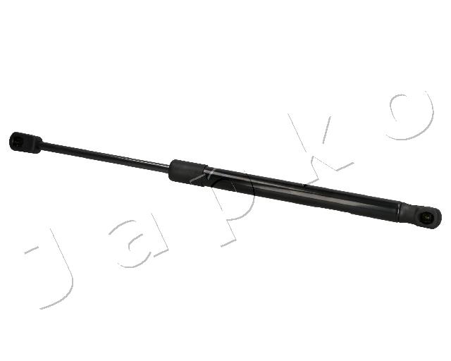 ZSJ01091