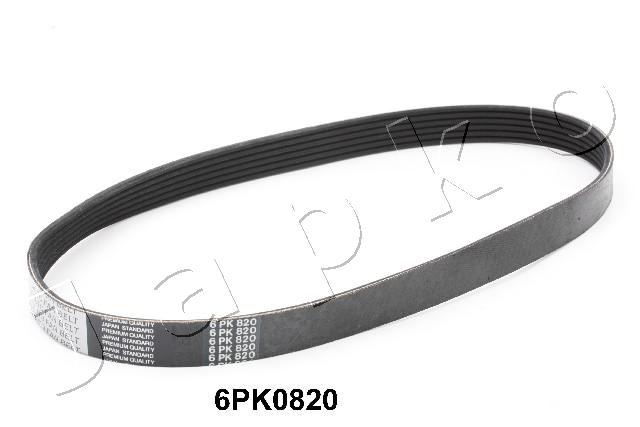 6PK820