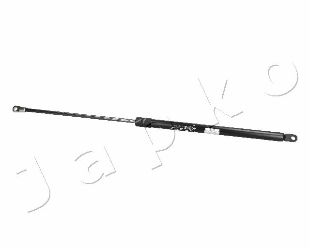 ZSJ06058