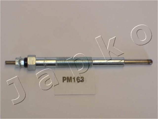 PM163