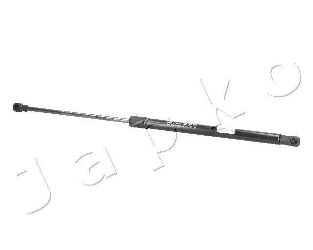 ZSJ09134