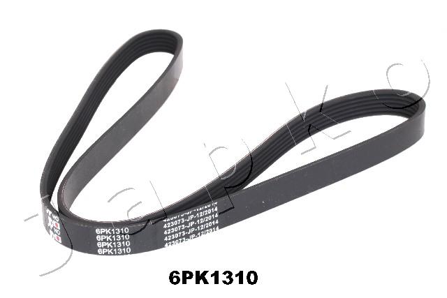 6PK1310