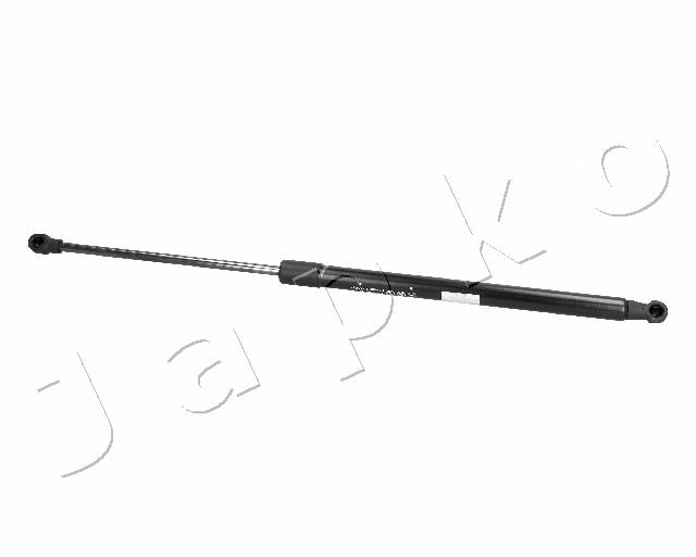 ZSJ06094