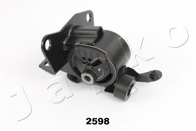 GOJ2598
