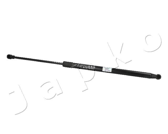 ZSJ09210