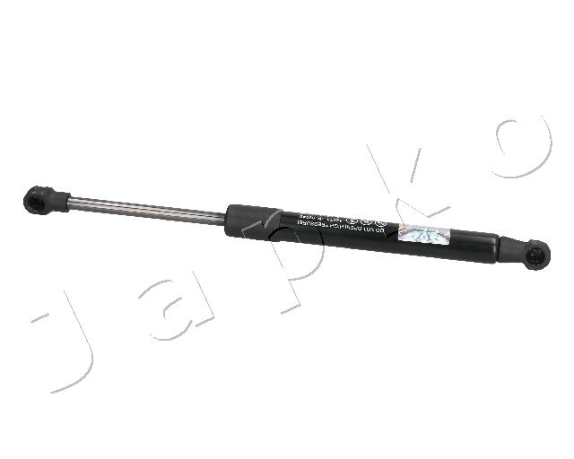 ZSJ09046