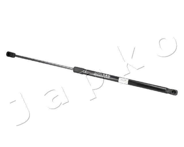 ZSJ09137