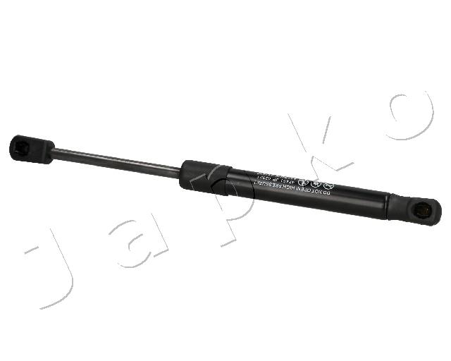 ZSJ02021