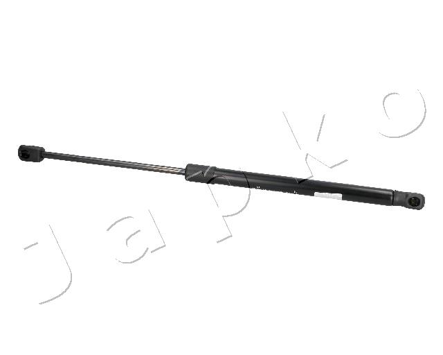 ZSJ09138