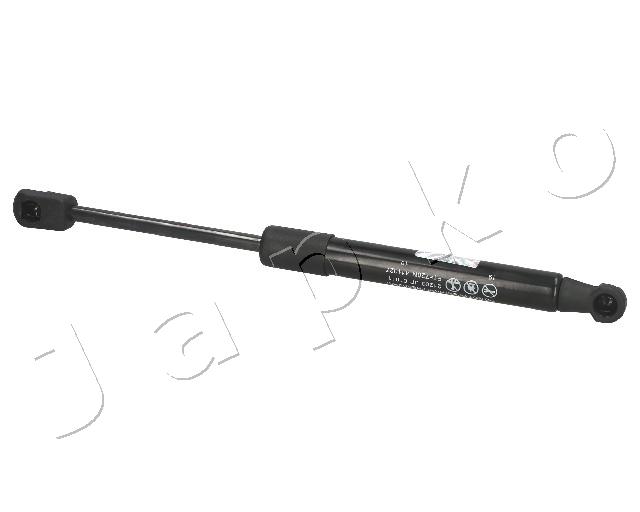 ZSJ01011