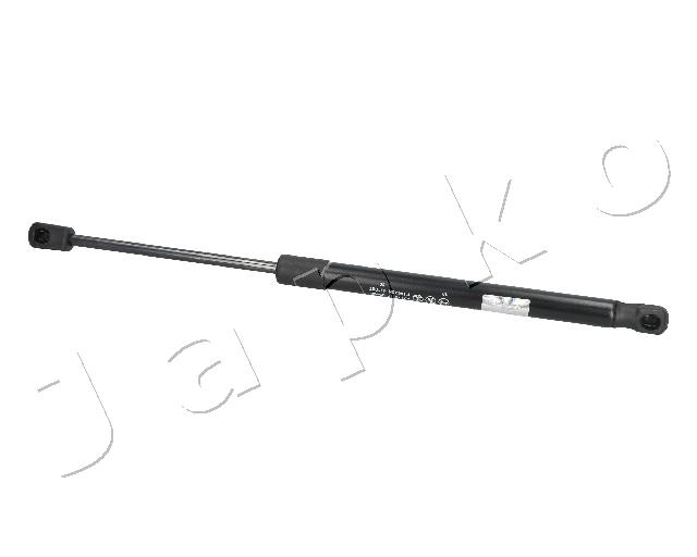 ZSJ09066