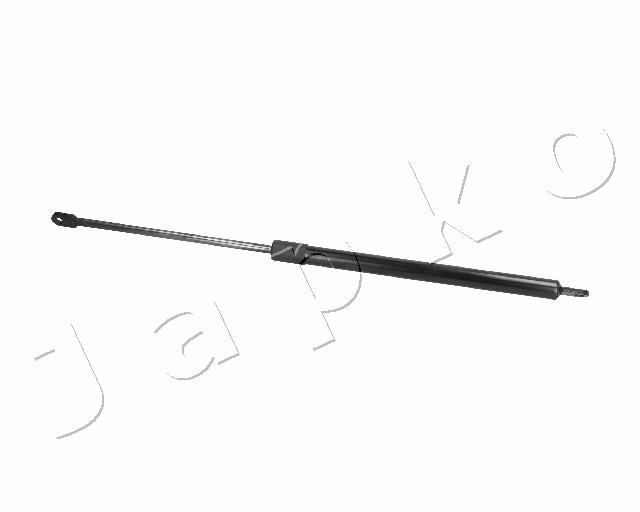 ZSJ01010