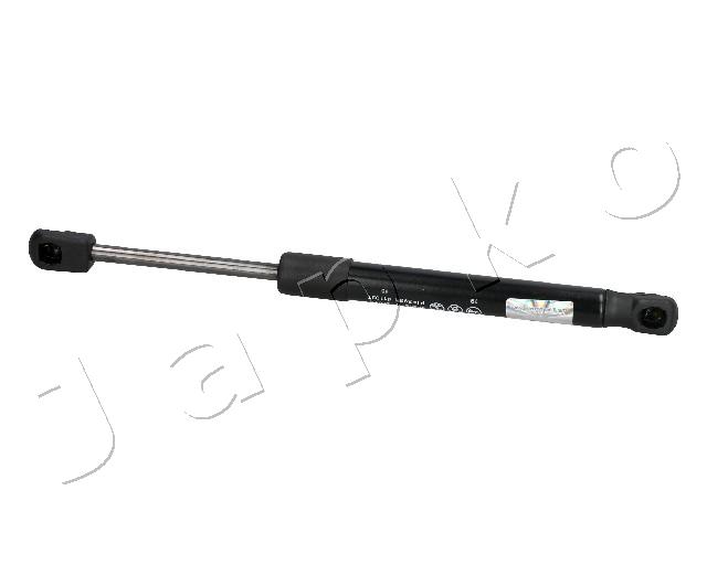 ZSJ30011