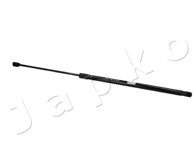 ZSJ07065
