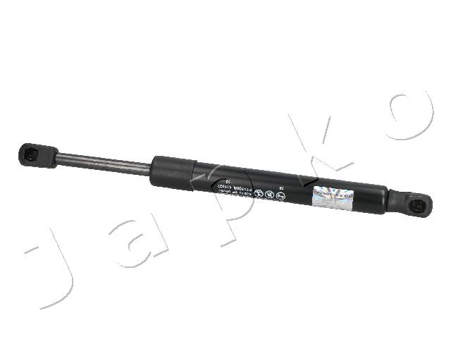 ZSJ09039