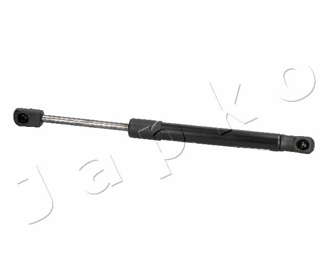 ZSJ06066