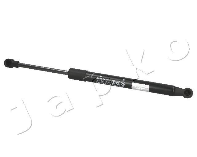 ZSJ01019