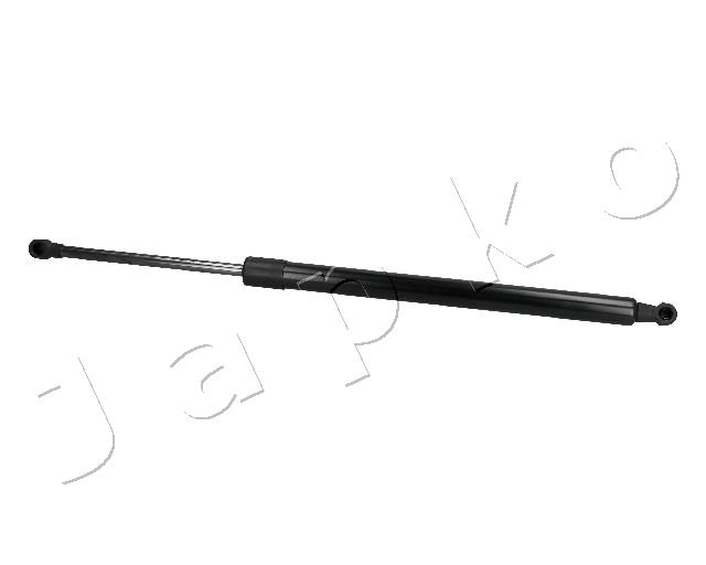 ZSJ30012