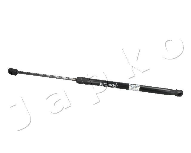 ZSJ09065