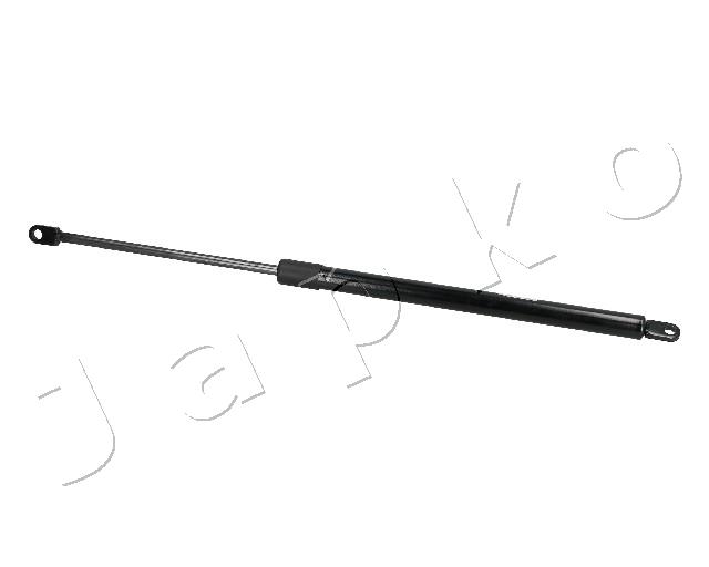 ZSJ09224