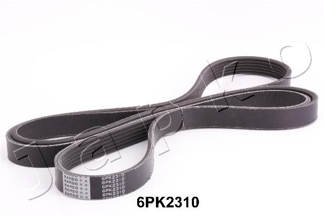 6PK2310