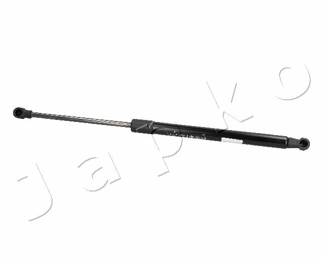 ZSJ06019