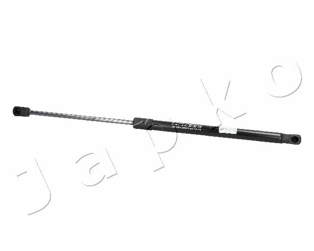 ZSJ06067