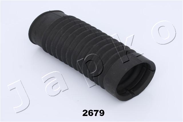 GOJ2679