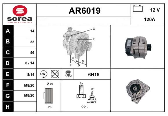 AR6019