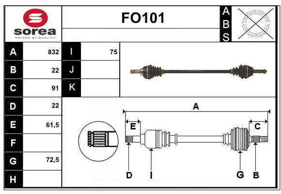 FO101