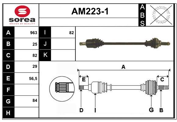 AM223-1