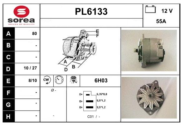 PL6133