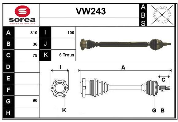 VW243