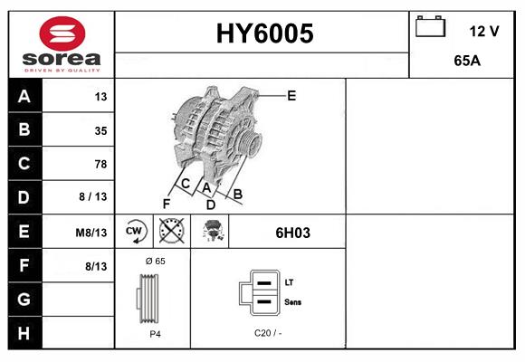 HY6005