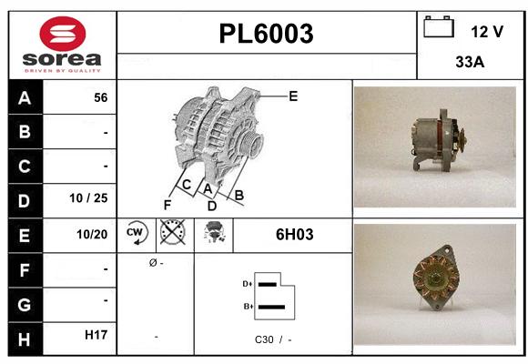 PL6003