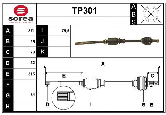 TP301