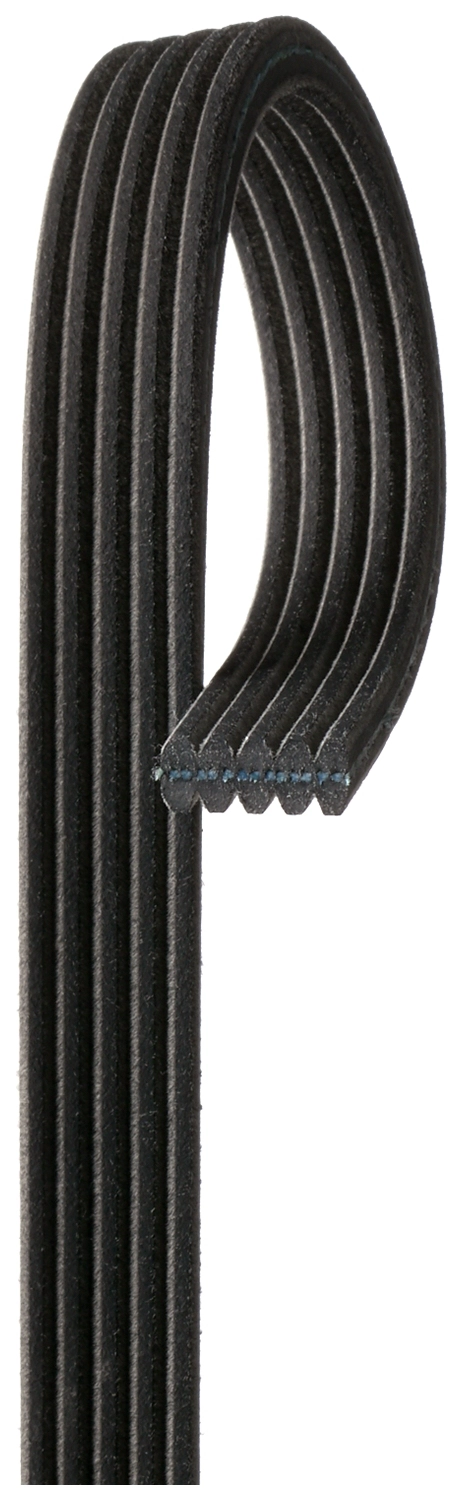 5DPK1550