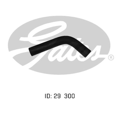 894222061