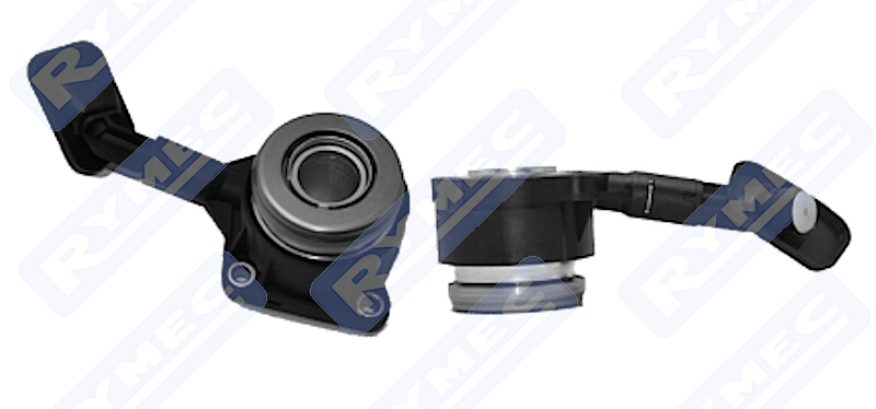 CSC056530