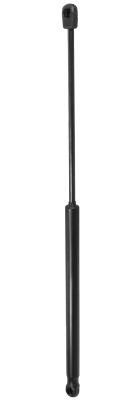 MG 17345