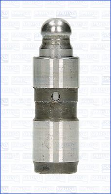WG1009697