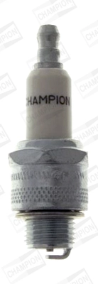 WG2010107