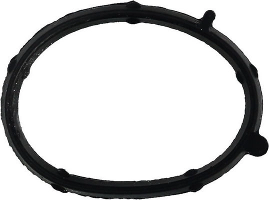 WG1008550